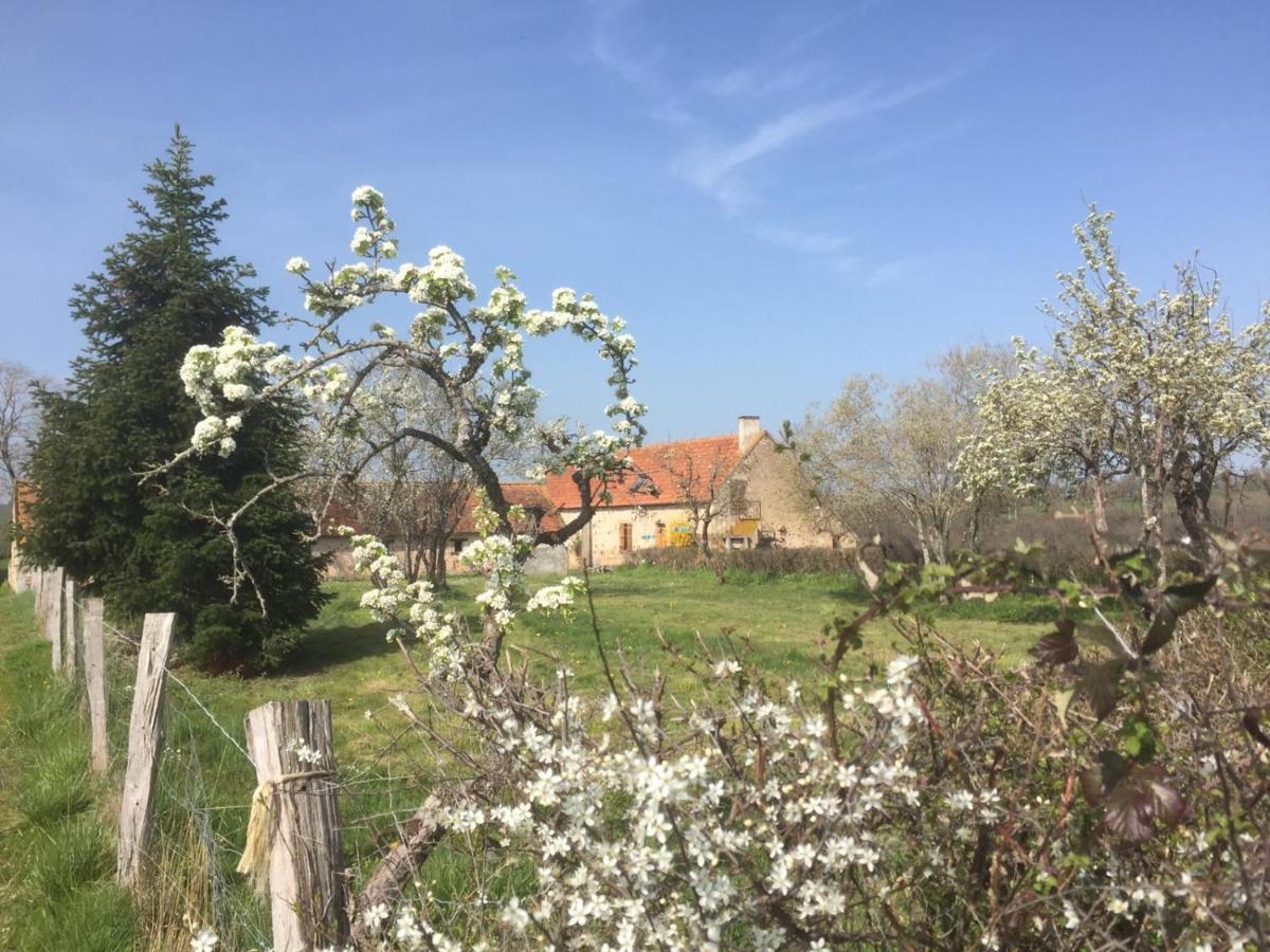 Chambres D'Hotes Domaine Les Grands Perons Herisson Екстер'єр фото