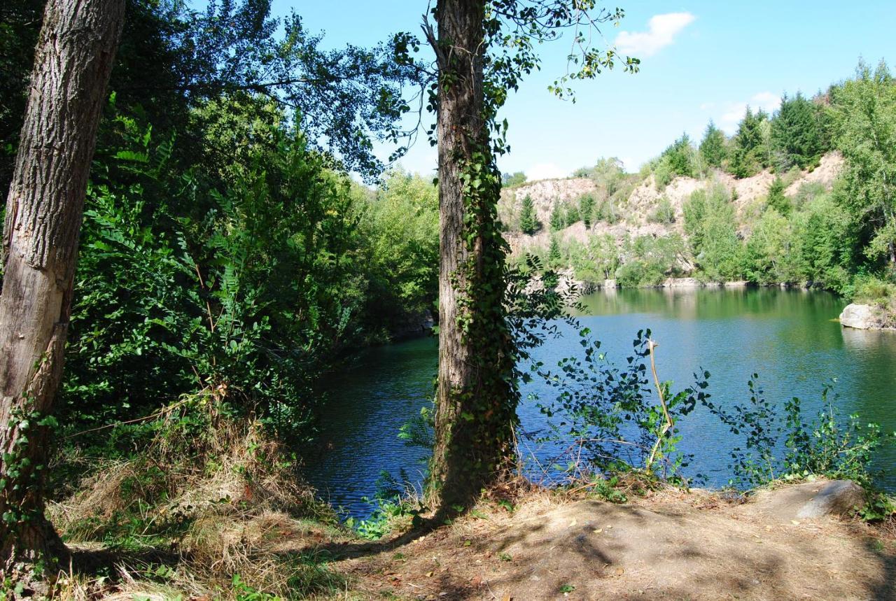 Chambres D'Hotes Domaine Les Grands Perons Herisson Екстер'єр фото